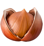 shape18