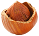 shape19