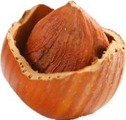 shape24